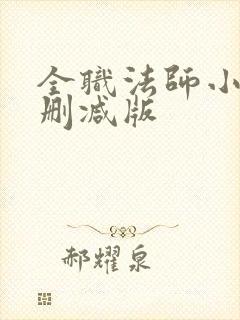 全职法师小说无删减版