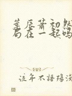 叶辰萧初然大结局在一起吗