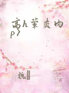 高h荤爽肉〈np〉