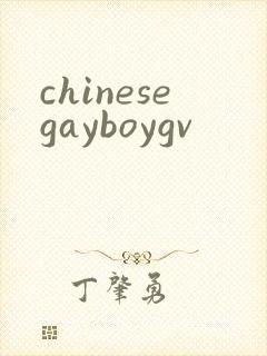 chinesegayboygv
