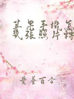 苹果手机怎么把几张照片转成一个pdf