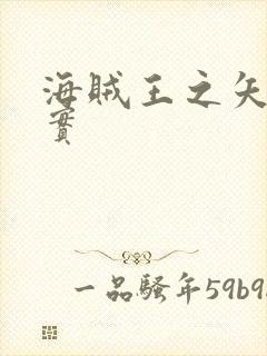海贼王之矢量果实