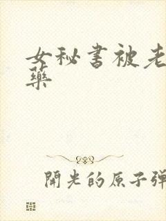 女秘书被老板下药