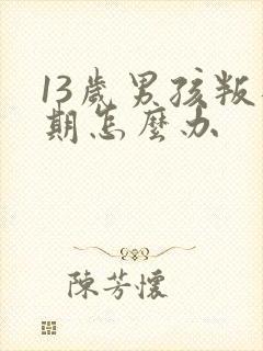 13岁男孩叛逆期怎么办
