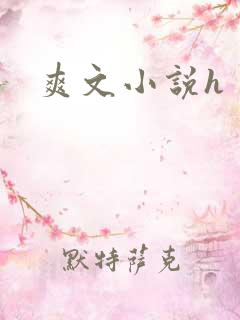 爽文小说h