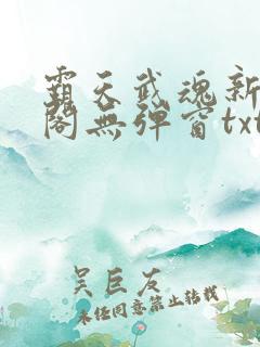 霸天武魂新笔趣阁无弹窗txt