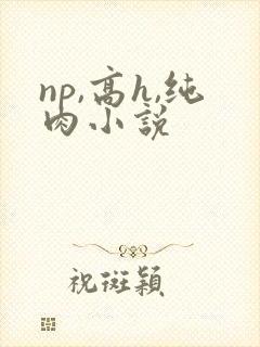 np,高h,纯肉小说