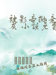 被影帝抛弃的炮灰 小说免费阅读