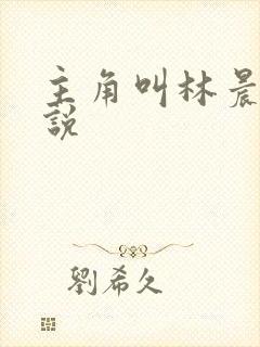 主角叫林晨的小说