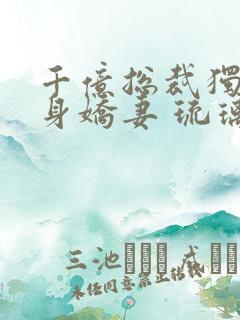 千亿总裁独宠替身娇妻 琉璃雪雪