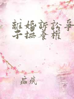 离婚诉讼争夺孩子抚养权
