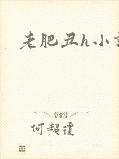 老肥丑h小说