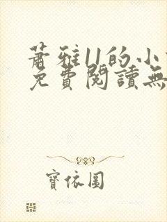 萧雅11的小说免费阅读无弹窗最新章节
