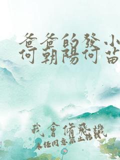 爸爸的发小叔叔何朝阳何苗苗小说免费