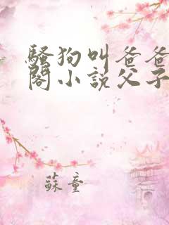骚狗叫爸爸笔趣阁小说父子