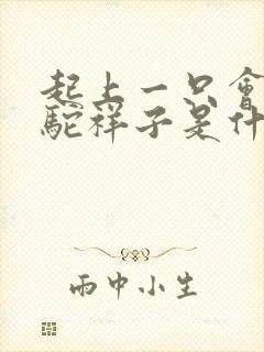 起上一只会 骆驼祥子是什么意思