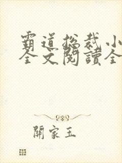 霸道总裁小娇妻全文阅读全文
