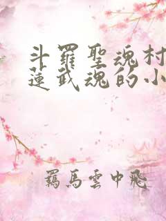 斗罗圣魂村,青莲武魂的小说