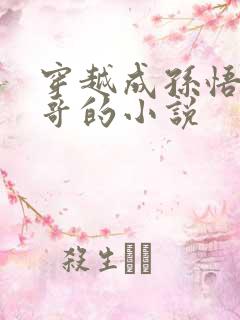 穿越成孙悟空大哥的小说
