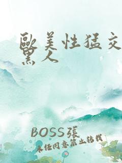 欧美性猛交xx黑人
