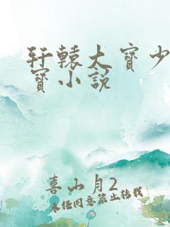 轩辕大宝少年大宝小说