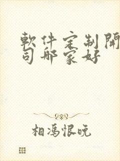 软件定制开发公司哪家好