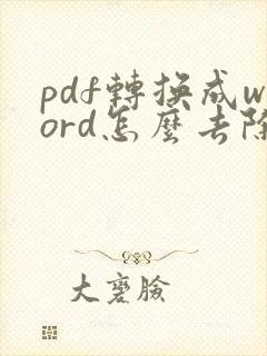 pdf转换成word怎么去除水印