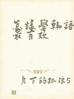 怎样学韩语最快最有效