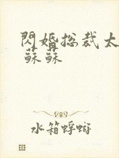 闪婚总裁太霸道 苏苏
