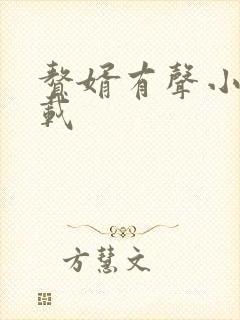 赘婿有声小说下载