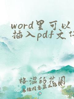 word里可以插入pdf文件吗