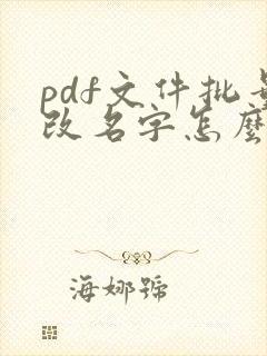 pdf文件批量改名字怎么改