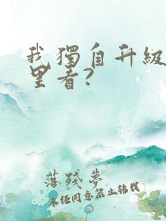 我独自升级在哪里看?