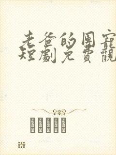 老爸的团宠时代短剧免费观看