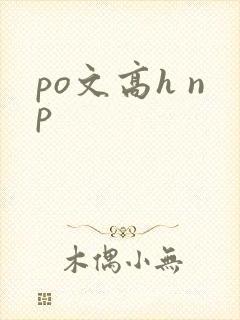 po文高h np