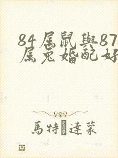 84属鼠与87属兔婚配好不好