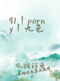 91丨porny丨九色