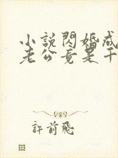 小说闪婚成宠,老公竟是千亿大佬