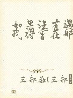 如果没有遇见你我将会在哪里求歌名