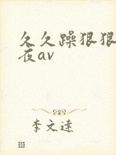 久久躁狠狠躁夜夜av