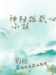神秘总裁心尖宠 小说