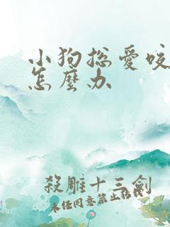 小狗总爱咬人手怎么办
