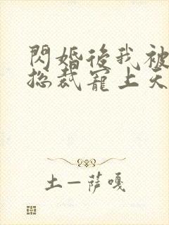 闪婚后我被千亿总裁宠上天