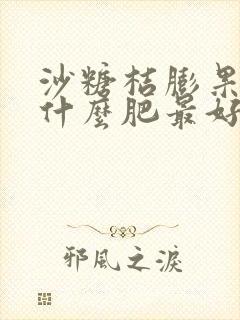 沙糖桔膨果肥用什么肥最好