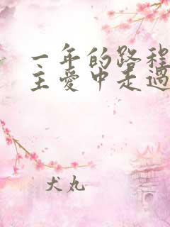 一年的路程我们主爱中走过歌曲