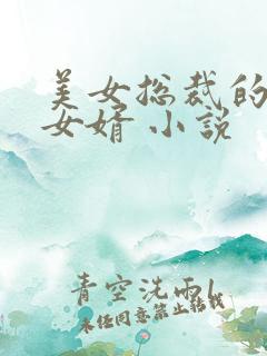 美女总裁的上门女婿 小说