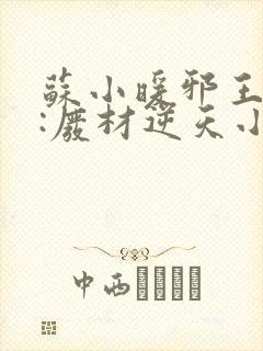 苏小暖邪王追妻:废材逆天小姐