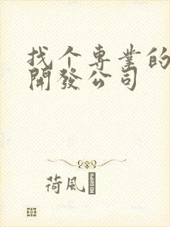 找个专业的软件开发公司