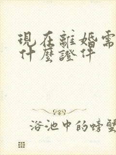 现在离婚需要带什么证件