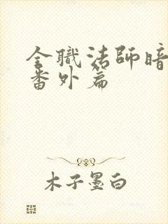 全职法师暗位面番外篇